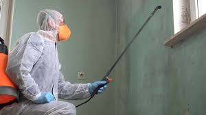 Trusted Fletcher, NC Mold Remediation Experts